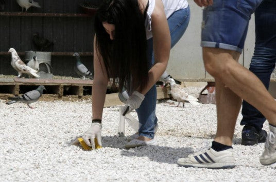 Μενίδι – Μαρτυρία σοκ: «Άκουσα 25 πυροβολισμούς – Ξέρω τον αστυνομικό που τα «παίρνει» (βίντεο)